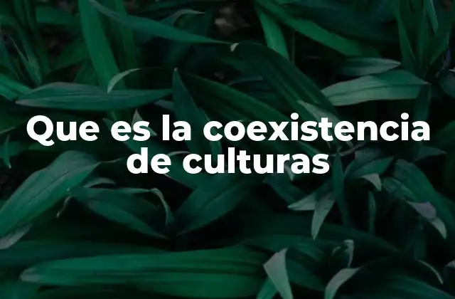 Que es la Coexistencia de Culturas