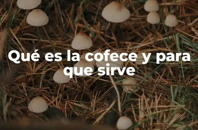 El papel de la COFECE en la economía mexicana