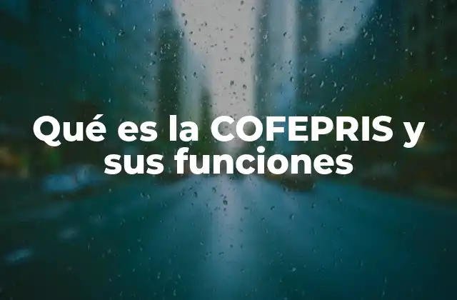 Qué es la Cofepris y Sus Funciones