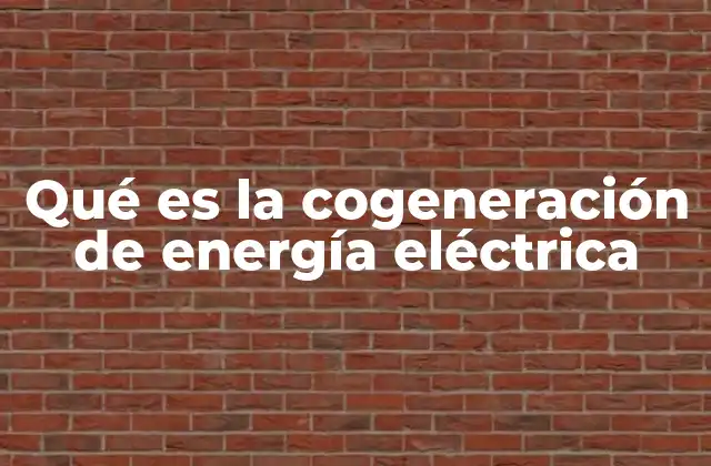 Qué es la Cogeneración de Energía Eléctrica