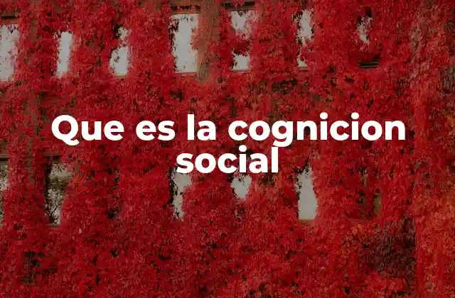 Cómo la mente interpreta al entorno social