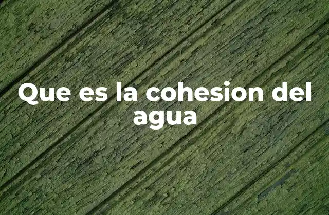 Que es la Cohesion Del Agua