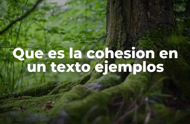 Que es la Cohesion en un Texto Ejemplos