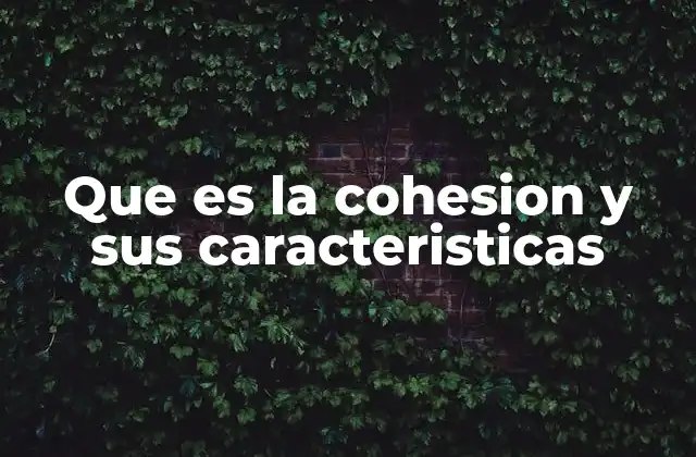 Que es la Cohesion y Sus Caracteristicas