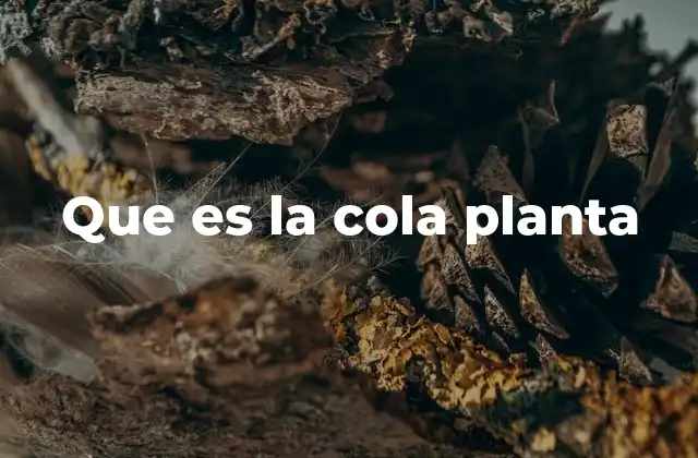 Origen y proceso de fabricación de este tipo de pegamento