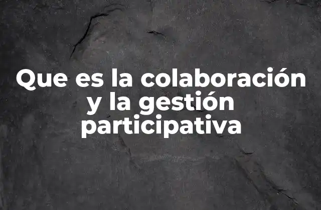 Que es la Colaboración y la Gestión Participativa