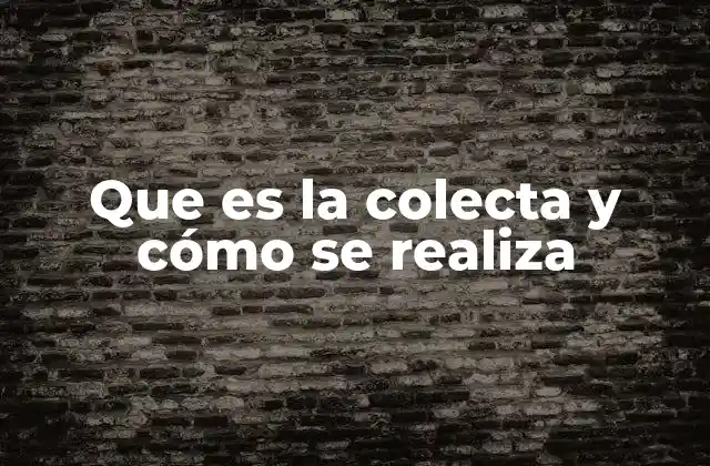 Que es la Colecta y Cómo Se Realiza