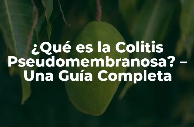 ¿qué es la Colitis Pseudomembranosa? – una Guía Completa