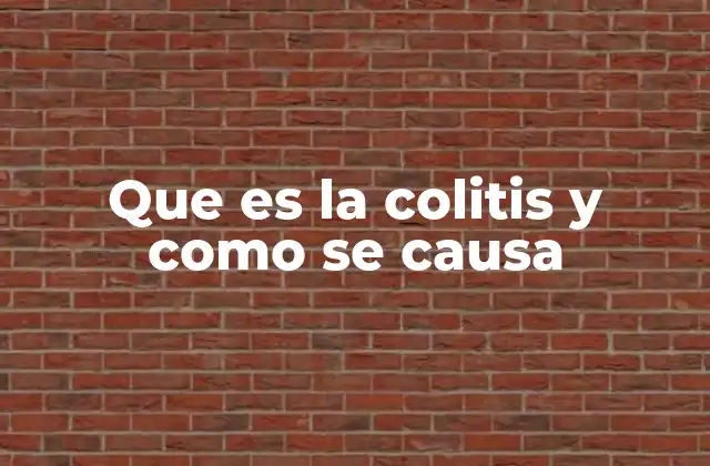 Que es la Colitis y como Se Causa 2 Conociendo la inflamación del colon