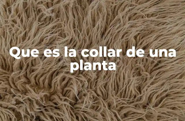 Que es la Collar de una Planta