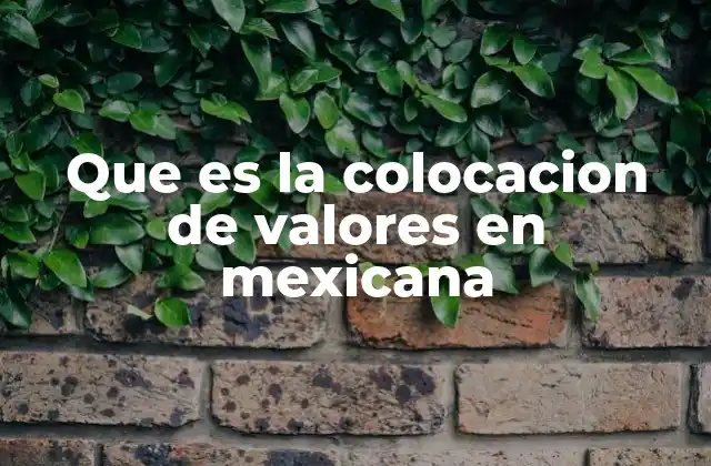 Que es la Colocacion de Valores en Mexicana