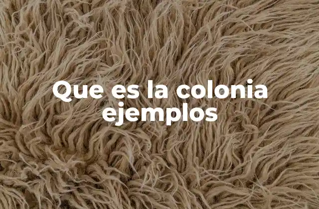 Que es la Colonia Ejemplos