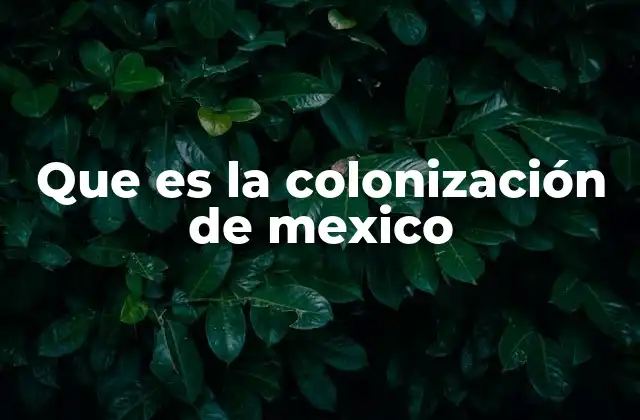 Que es la Colonización de Mexico