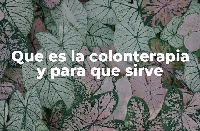 Que es la Colonterapia y para que Sirve