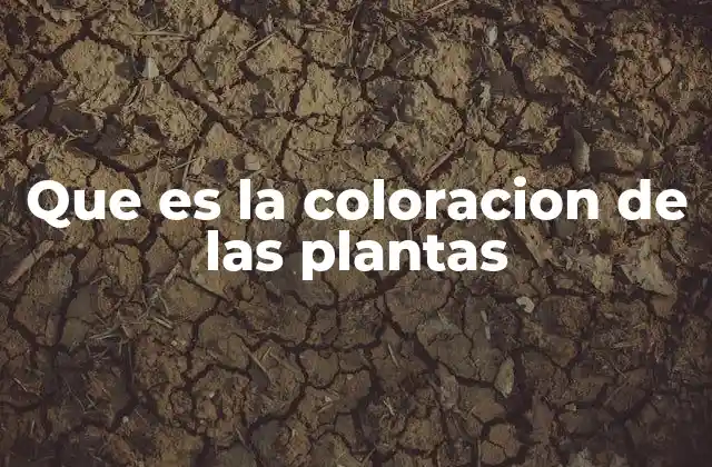 Que es la Coloracion de las Plantas