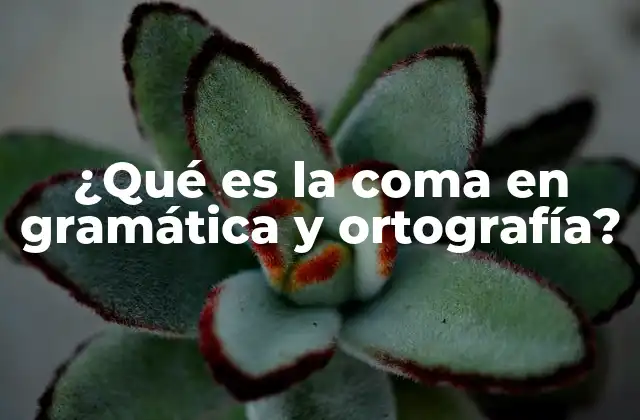 ¿qué es la Coma en Gramática y Ortografía?