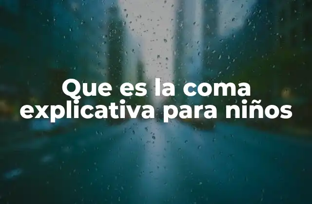 Que es la Coma Explicativa para Niños