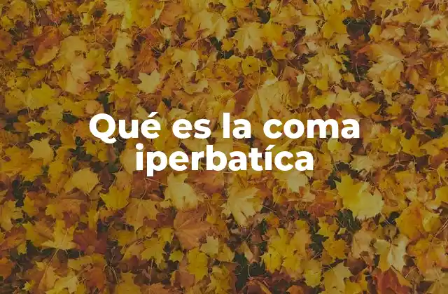 Qué es la Coma Iperbatíca