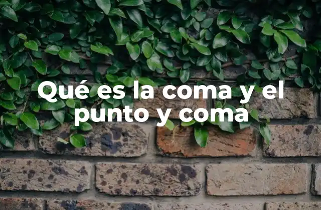 Qué es la Coma y el Punto y Coma