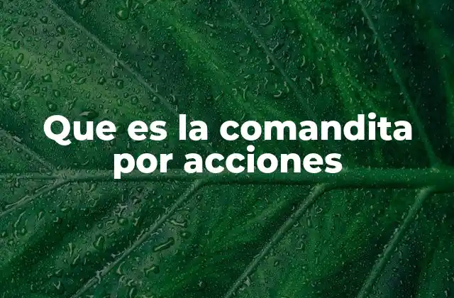 Que es la Comandita por Acciones