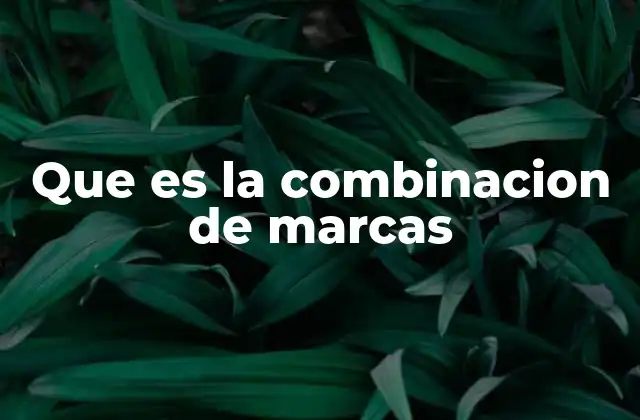 Que es la Combinacion de Marcas