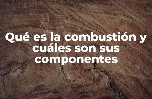 Qué es la Combustión y Cuáles Son Sus Componentes