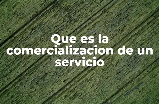 Que es la Comercializacion de un Servicio