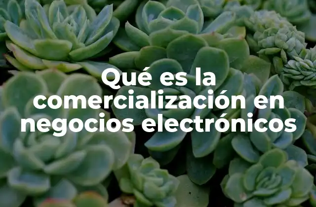 Qué es la Comercialización en Negocios Electrónicos