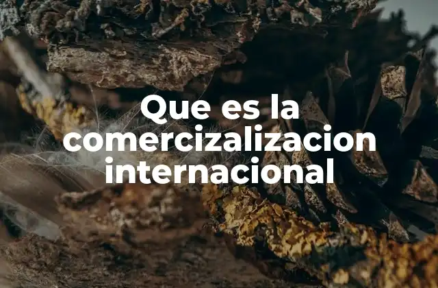 Que es la Comercizalizacion Internacional 2 El papel de la internacionalización en el crecimiento empresarial