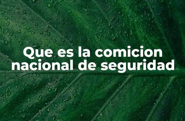 Que es la Comicion Nacional de Seguridad