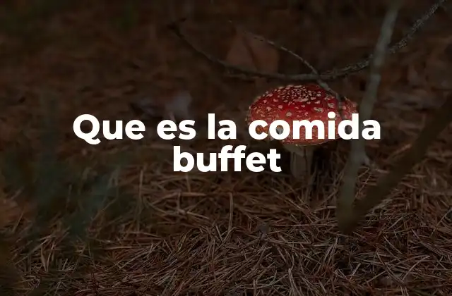 Que es la Comida Buffet