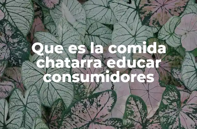 Que es la Comida Chatarra Educar Consumidores 2 La relación entre hábitos alimenticios y salud pública
