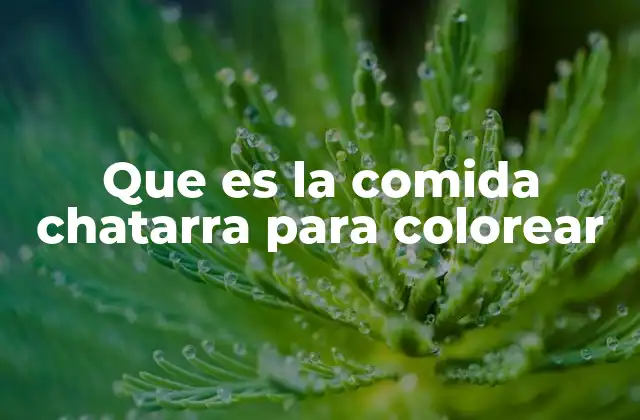 Que es la Comida Chatarra para Colorear