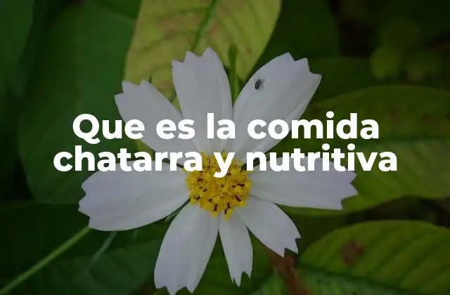 Que es la Comida Chatarra y Nutritiva
