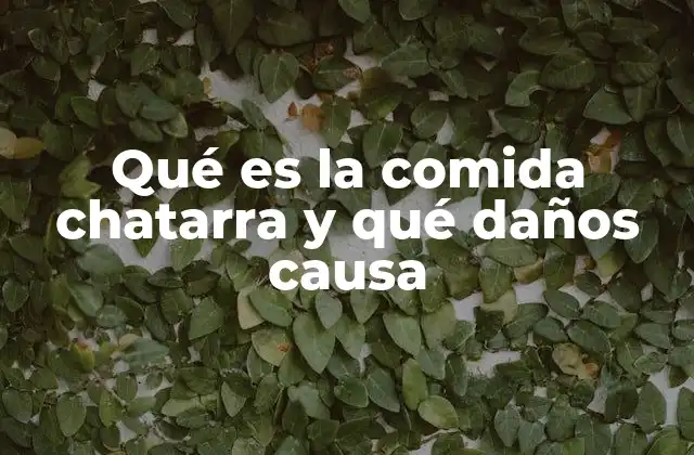Qué es la Comida Chatarra y Qué Daños Causa 2 El impacto de una dieta rica en alimentos ultraprocesados