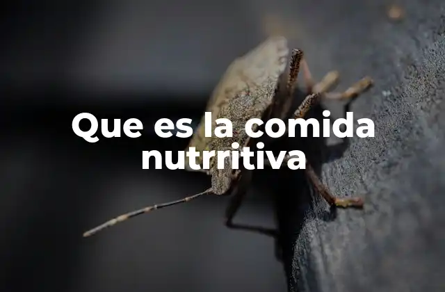 Que es la Comida Nutrritiva