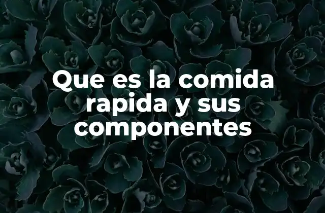 Que es la Comida Rapida y Sus Componentes