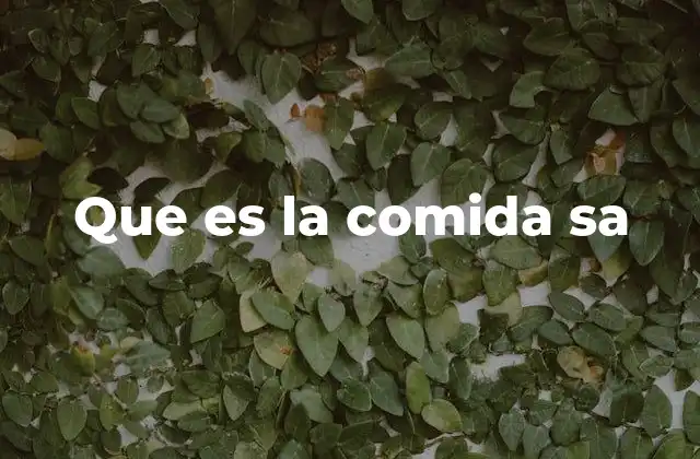 Que es la Comida Sa
