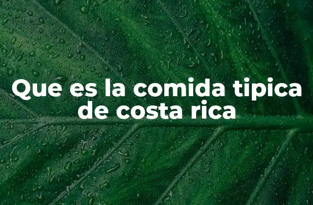 Que es la Comida Tipica de Costa Rica