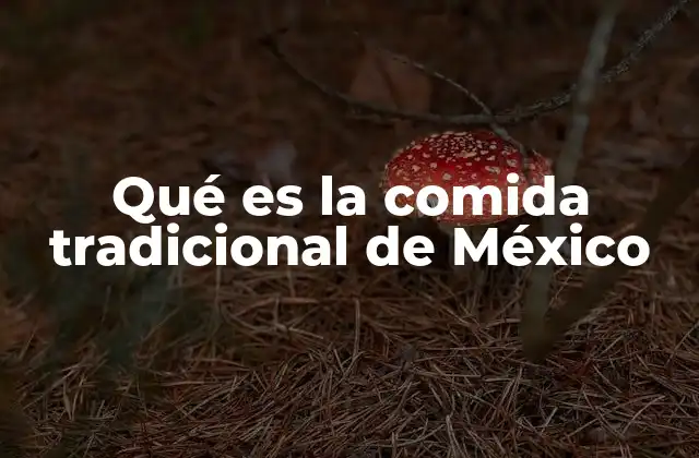 Qué es la Comida Tradicional de México
