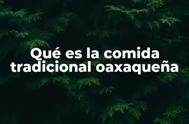 Qué es la Comida Tradicional Oaxaqueña