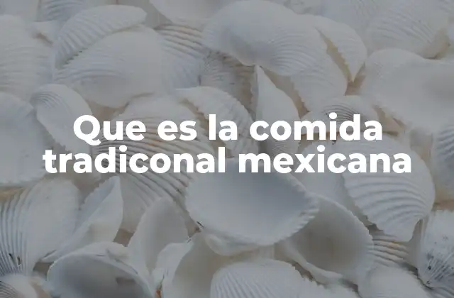 Que es la Comida Tradiconal Mexicana