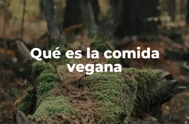 Qué es la Comida Vegana 2 La filosofía detrás de la alimentación vegana