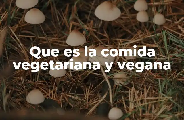 Que es la Comida Vegetariana y Vegana