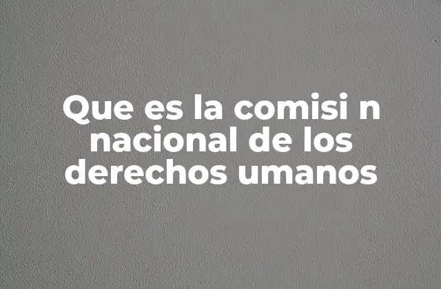 Que es la Comisi N Nacional de los Derechos Umanos