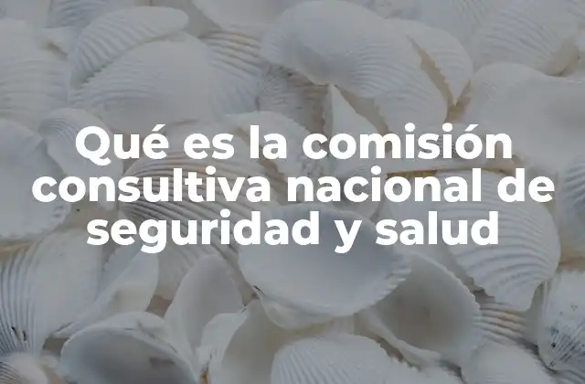 Qué es la Comisión Consultiva Nacional de Seguridad y Salud