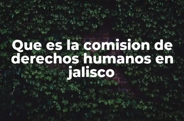 Que es la Comision de Derechos Humanos en Jalisco