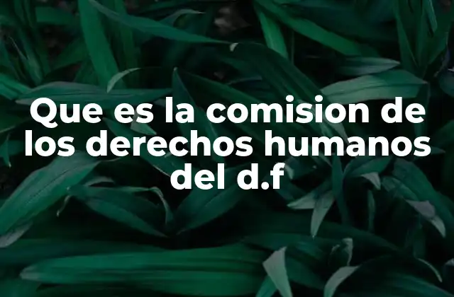 Que es la Comision de los Derechos Humanos Del D.f