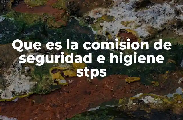 Que es la Comision de Seguridad e Higiene Stps