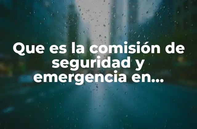 Que es la Comisión de Seguridad y Emergencia en Primaria